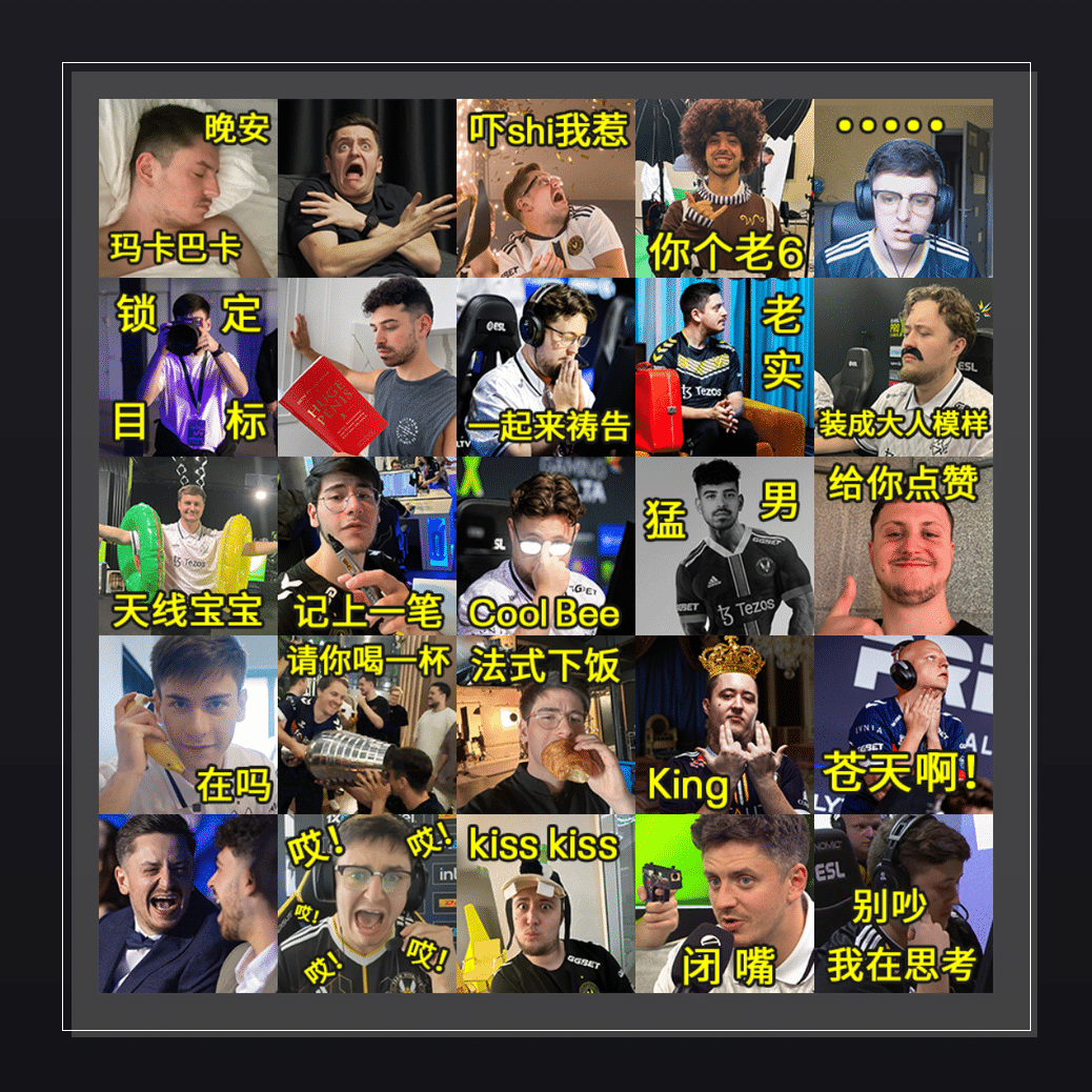 VITALITY MAJOR 收藏集  表情包预览