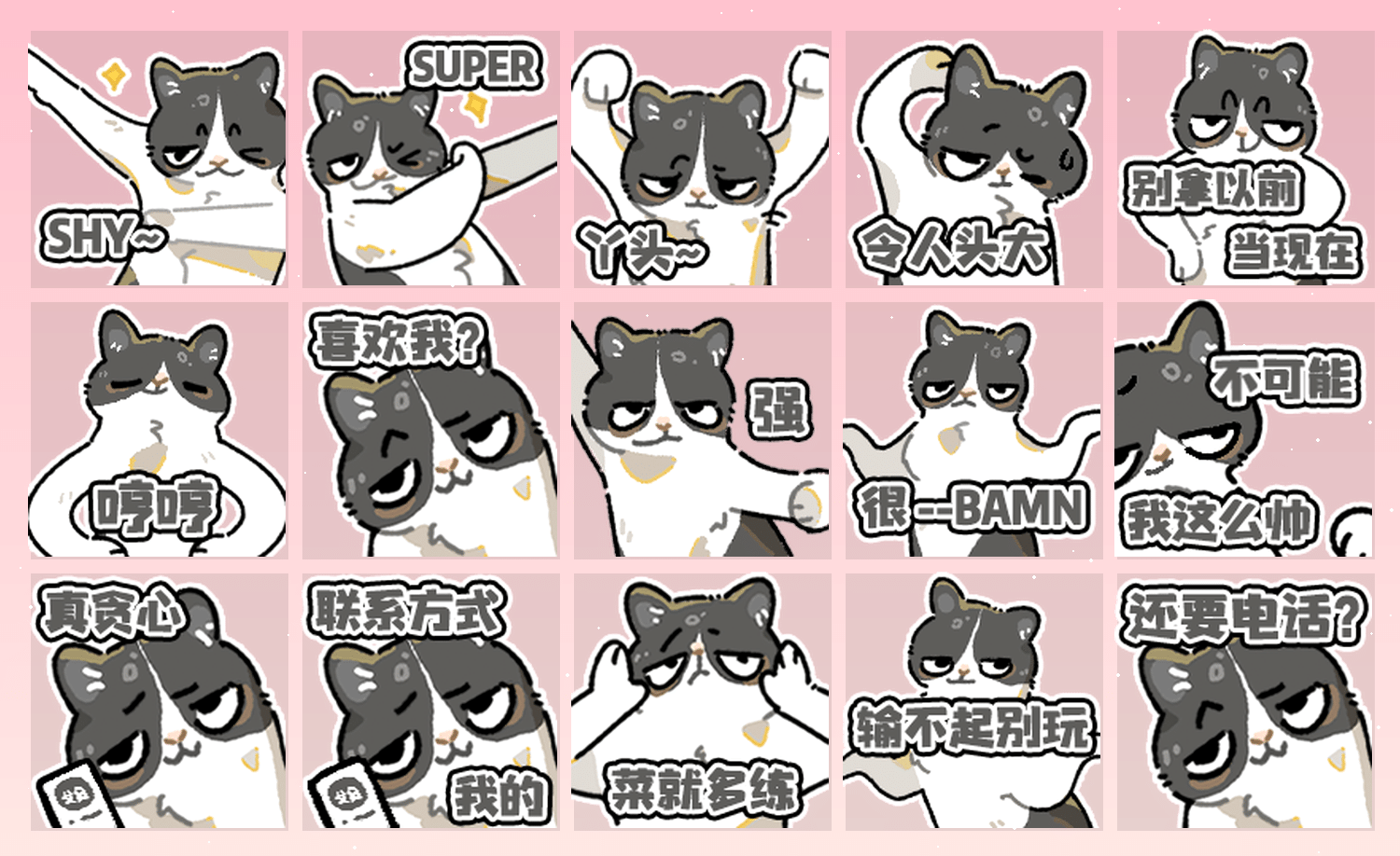 跳舞meme奶牛猫 表情包预览