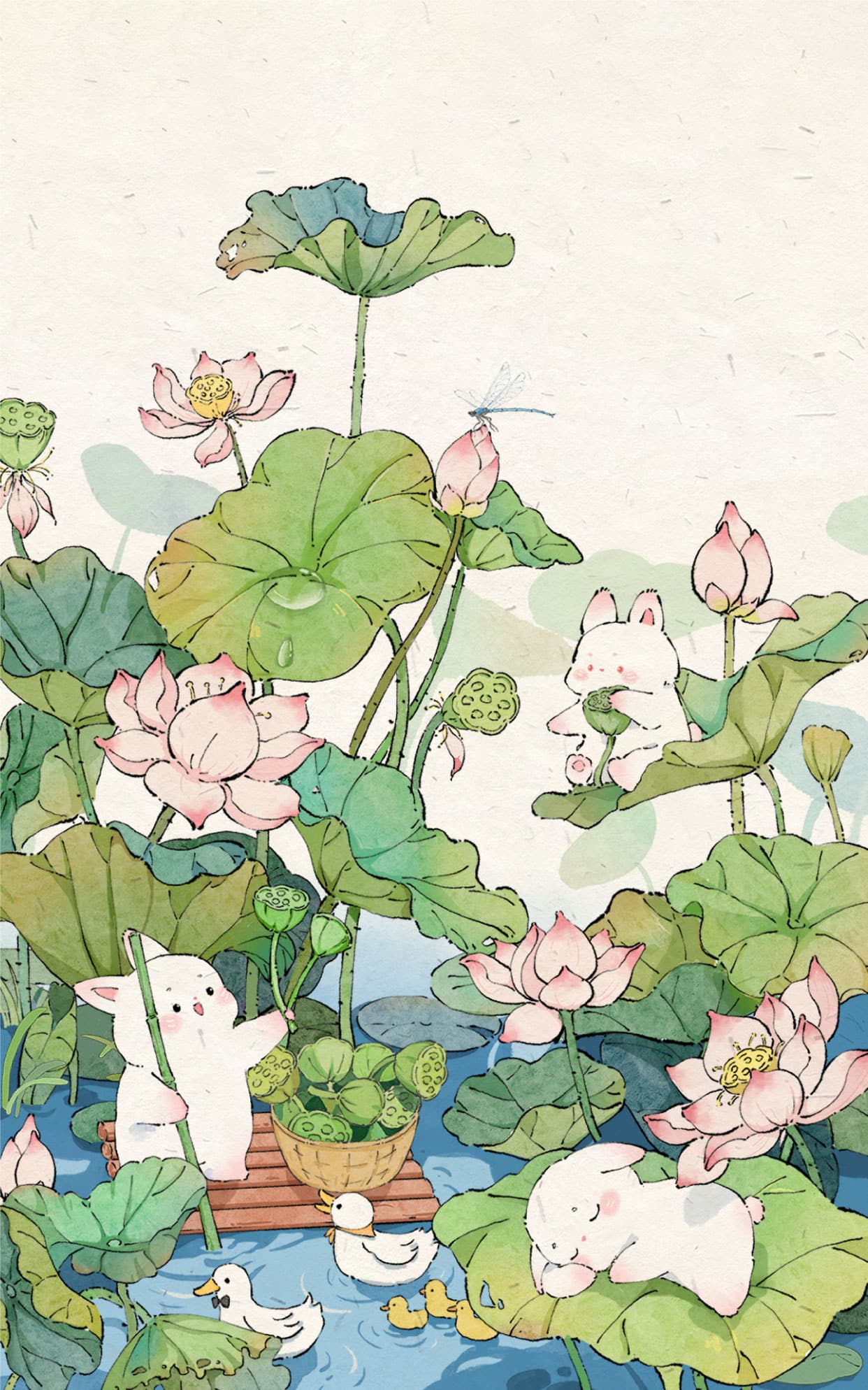 兔兔藕花深处 壁纸预览