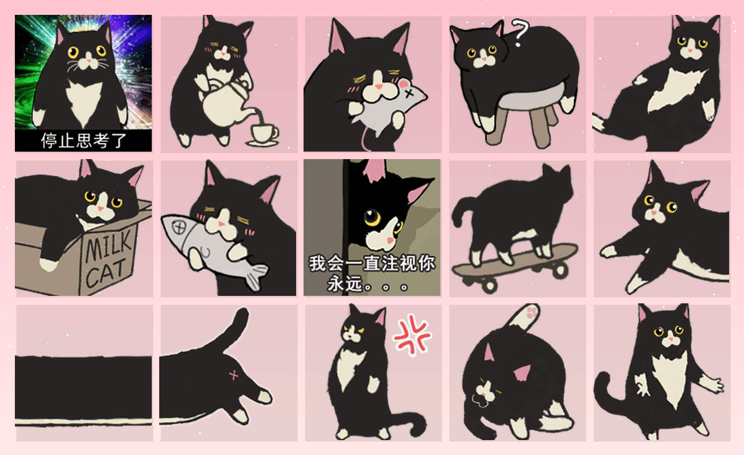 奶牛猫很担心你 表情包预览