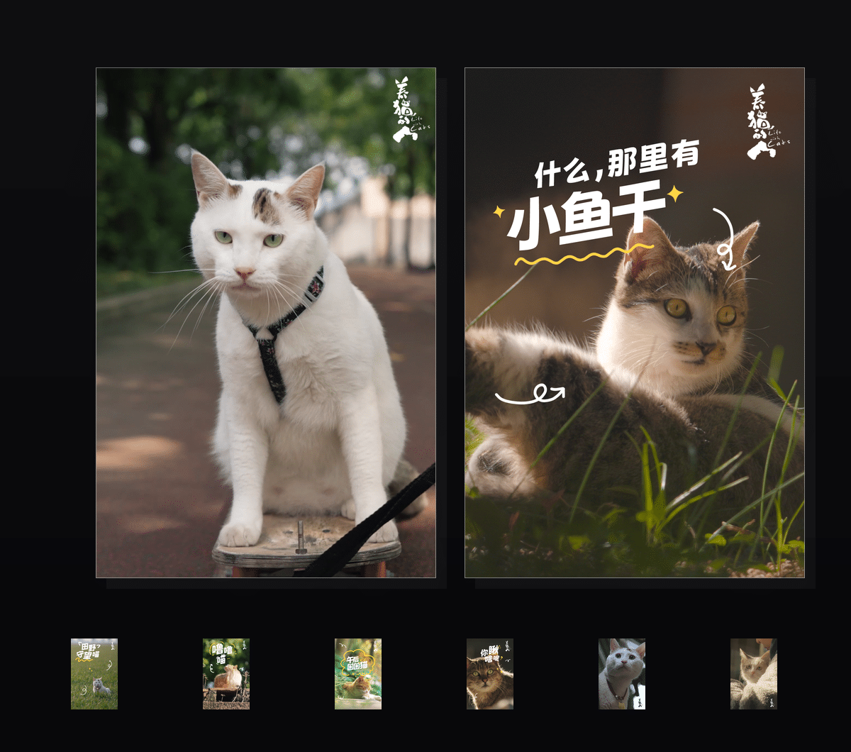 猫咪旅程  壁纸预览