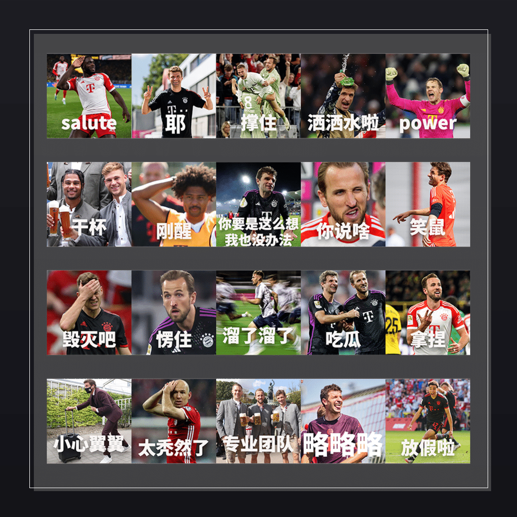 拜仁慕尼黑——征途再启  表情包预览