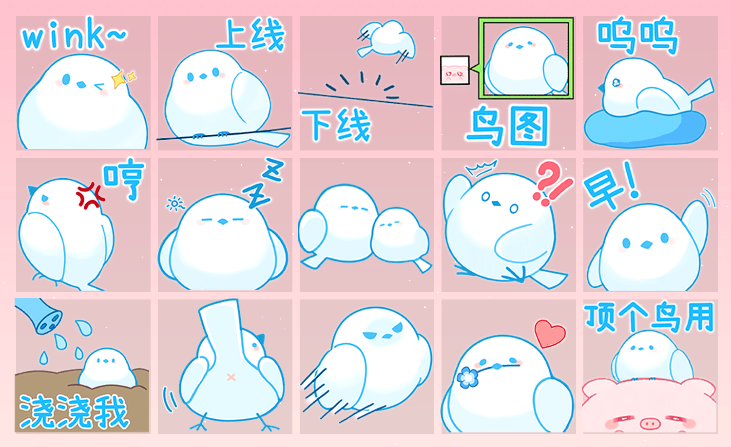 天蓝瓶瓶雀 表情包预览